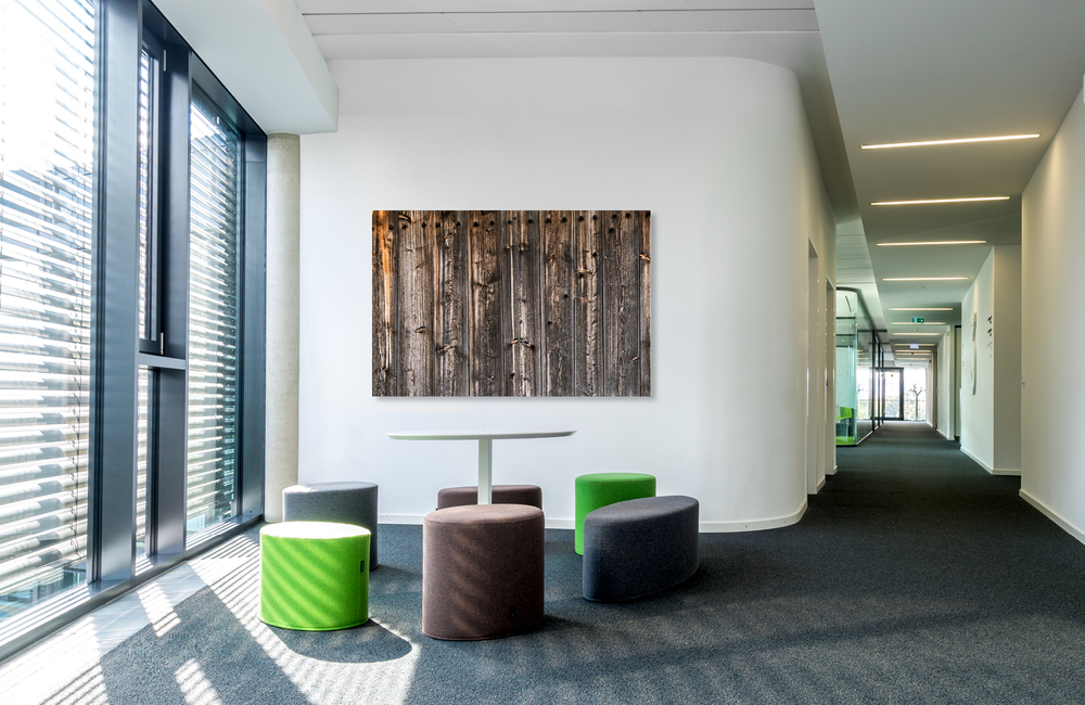 holzstruktur &ndash; Akustikbilder und Schallabsorber von SCHALLSAUGER&reg;