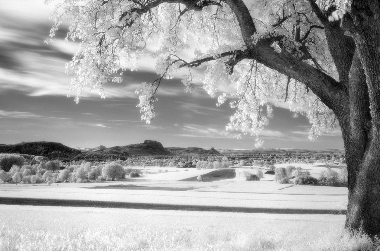 hegau &ndash; Akustikbilder und Schallabsorber von SCHALLSAUGER&reg;