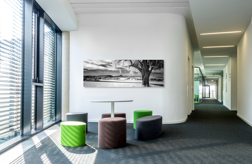 hegau &ndash; Akustikbilder und Schallabsorber von SCHALLSAUGER&reg;