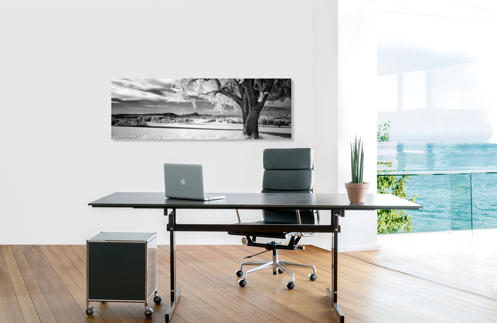 hegau &ndash; Akustikbilder und Schallabsorber von SCHALLSAUGER&reg;