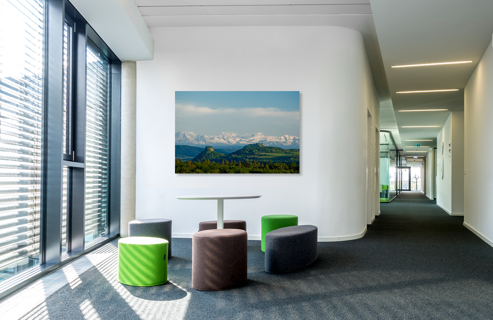 hegau &ndash; Akustikbilder und Schallabsorber von SCHALLSAUGER&reg;