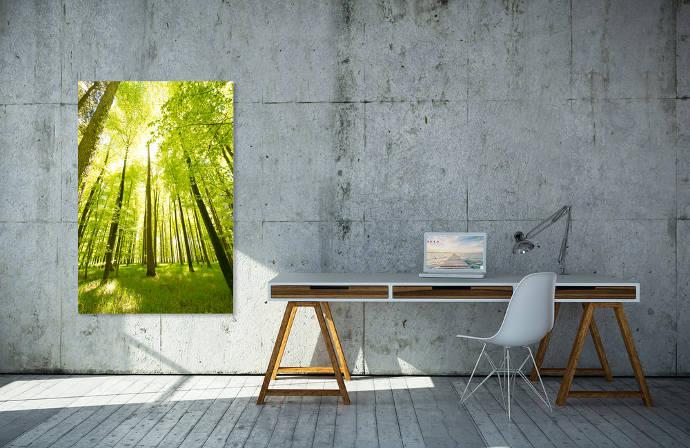 schienerbergwald &ndash; Akustikbilder und Schallabsorber von SCHALLSAUGER&reg;