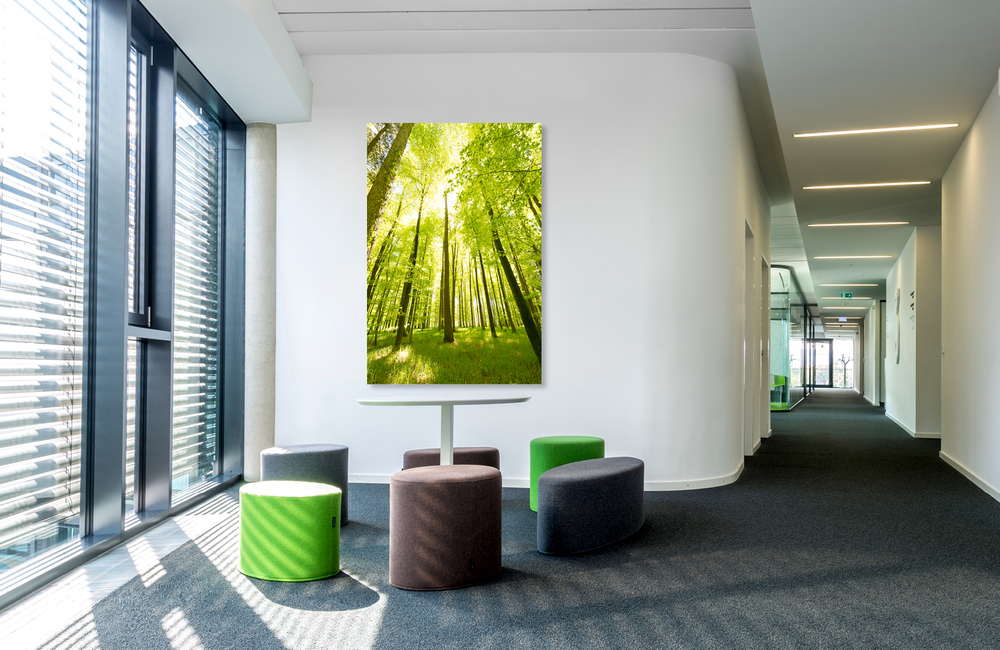 schienerbergwald &ndash; Akustikbilder und Schallabsorber von SCHALLSAUGER&reg;