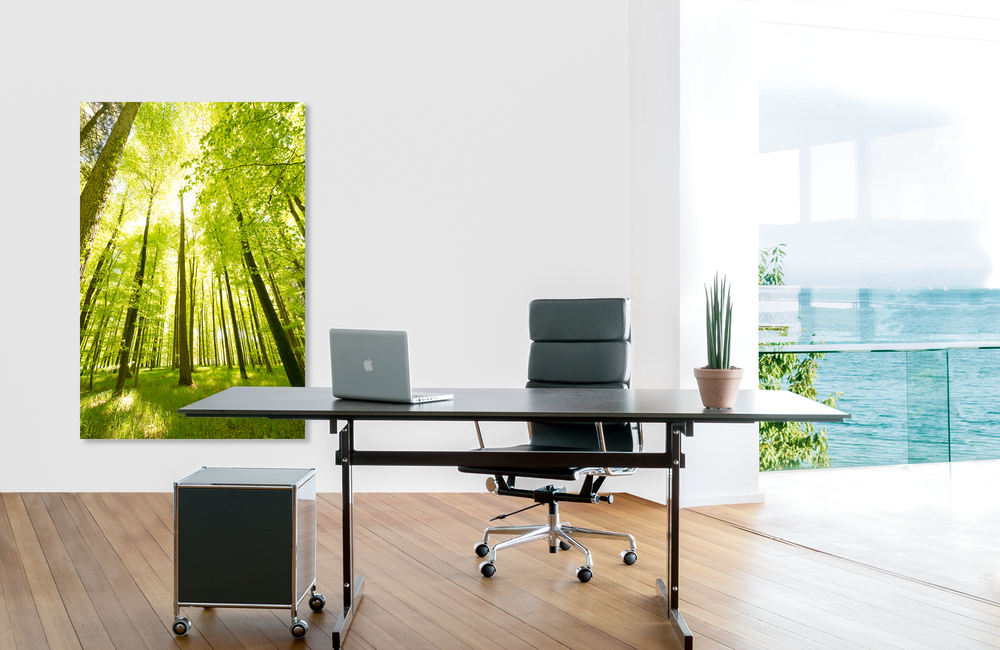 schienerbergwald &ndash; Akustikbilder und Schallabsorber von SCHALLSAUGER&reg;