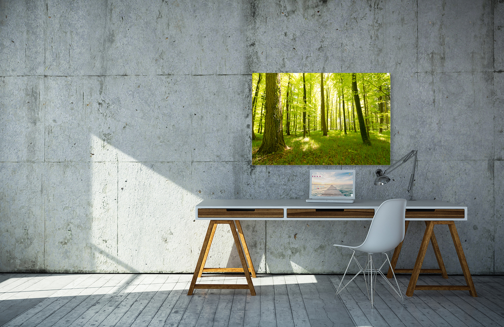 schienerbergwald &ndash; Akustikbilder und Schallabsorber von SCHALLSAUGER&reg;