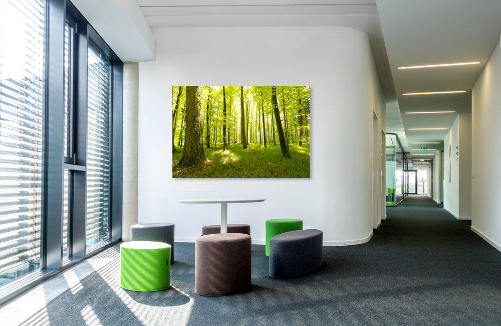 schienerbergwald &ndash; Akustikbilder und Schallabsorber von SCHALLSAUGER&reg;