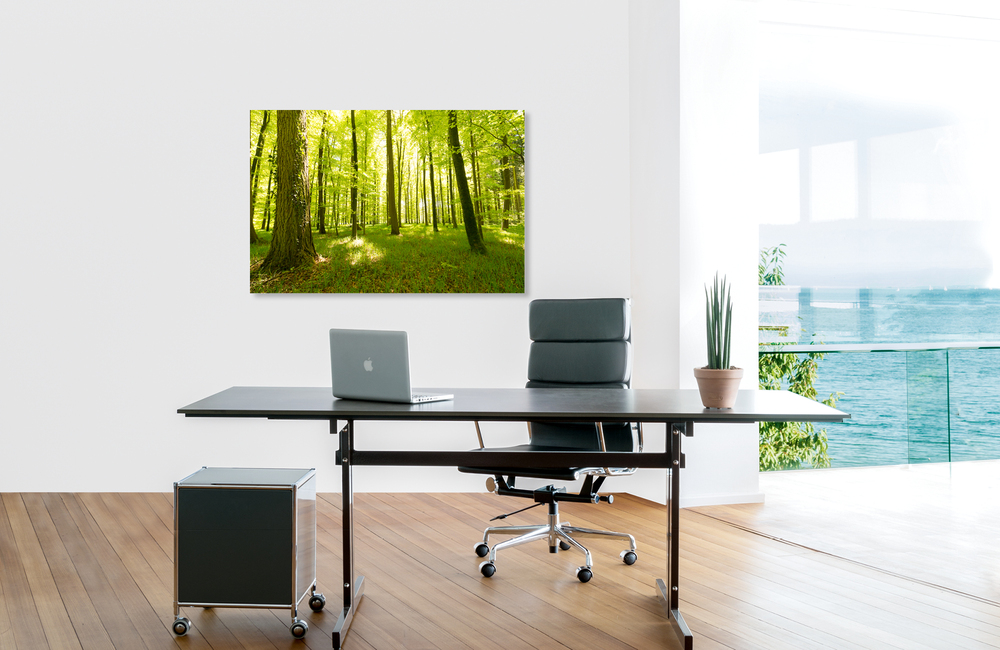 schienerbergwald &ndash; Akustikbilder und Schallabsorber von SCHALLSAUGER&reg;