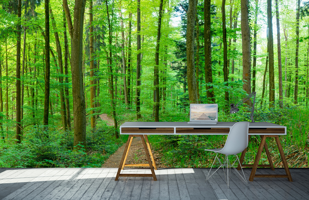 schienerberg wald &ndash; Akustikbilder und Schallabsorber von SCHALLSAUGER&reg;