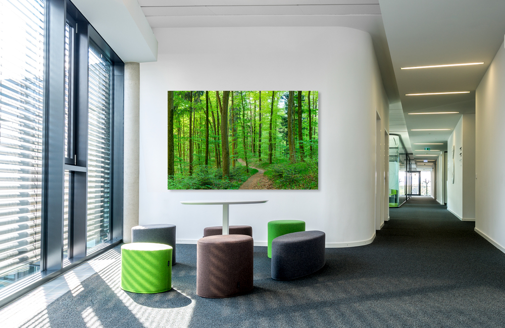 schienerberg wald &ndash; Akustikbilder und Schallabsorber von SCHALLSAUGER&reg;