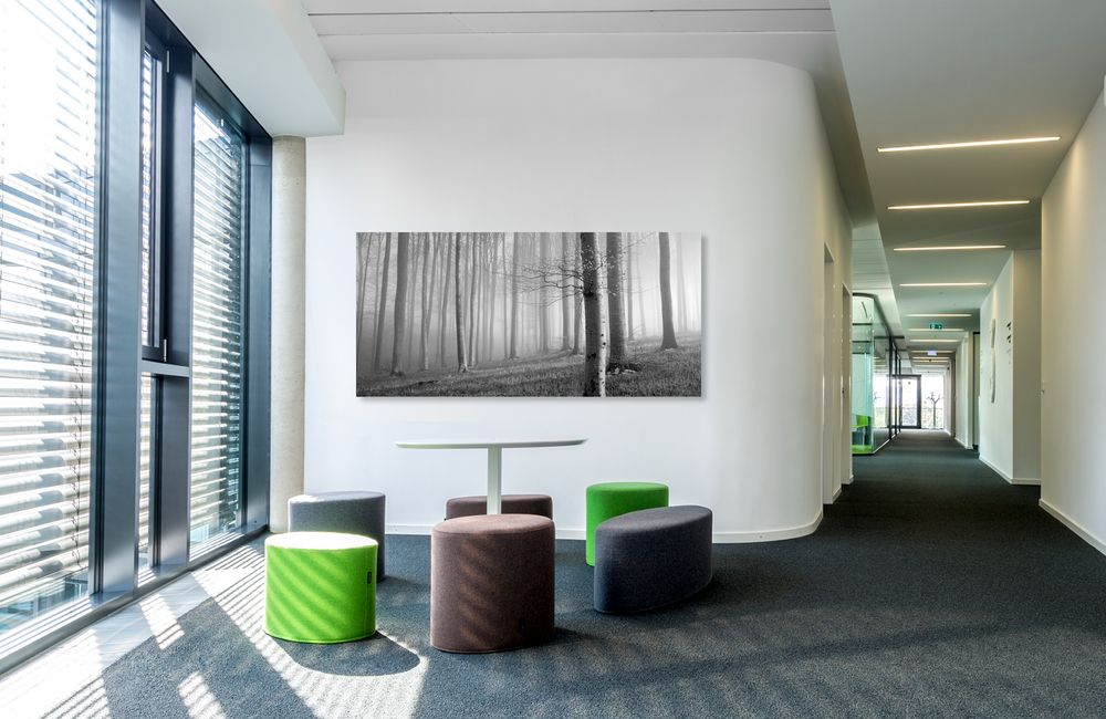 nebelwald &ndash; Akustikbilder und Schallabsorber von SCHALLSAUGER&reg;