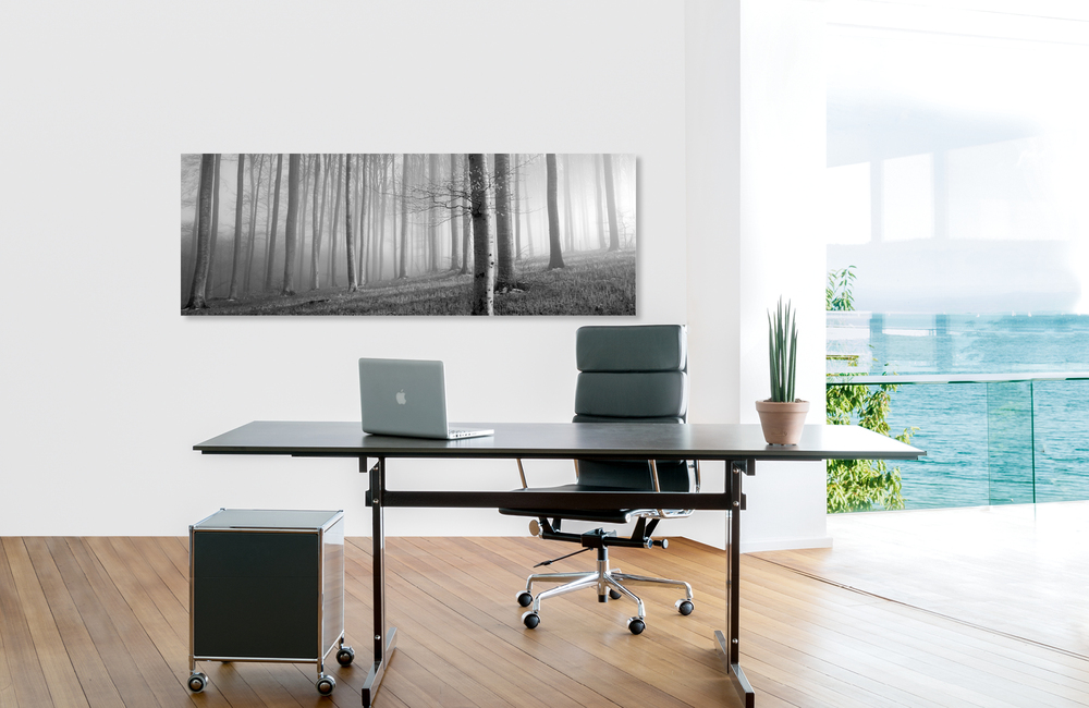 nebelwald &ndash; Akustikbilder und Schallabsorber von SCHALLSAUGER&reg;