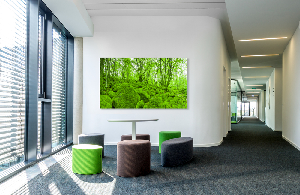 mooswald &ndash; Akustikbilder und Schallabsorber von SCHALLSAUGER&reg;