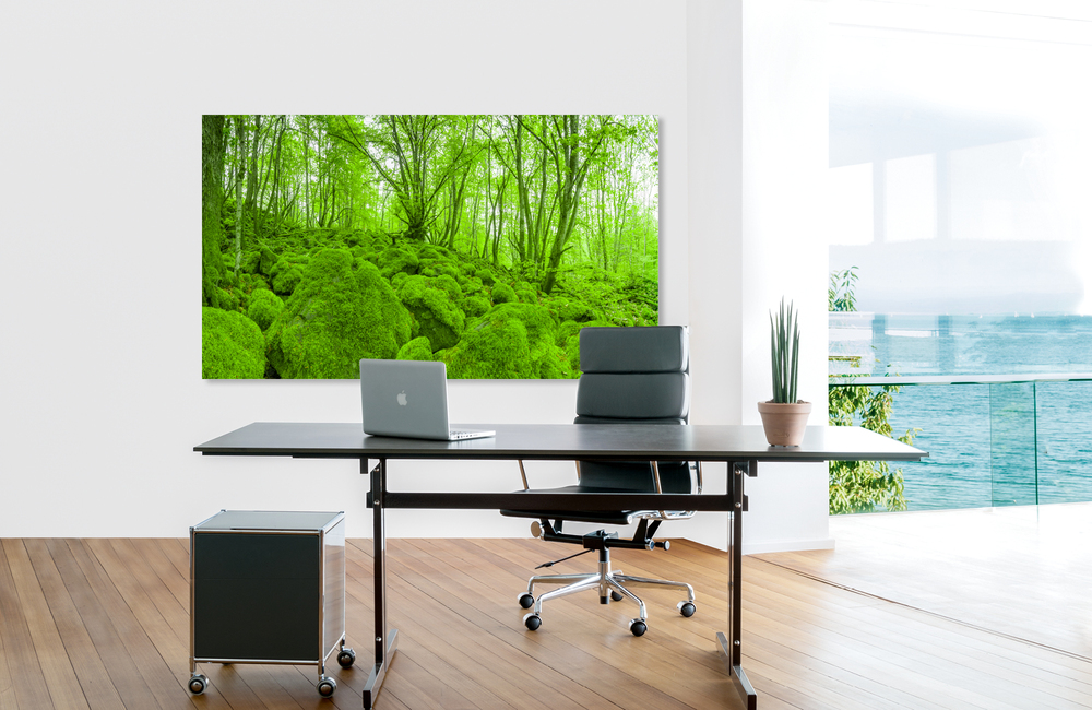 mooswald &ndash; Akustikbilder und Schallabsorber von SCHALLSAUGER&reg;