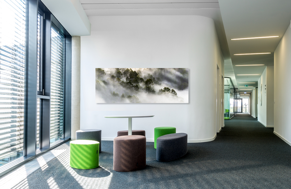 la cumbrecita &ndash; Akustikbilder und Schallabsorber von SCHALLSAUGER&reg;