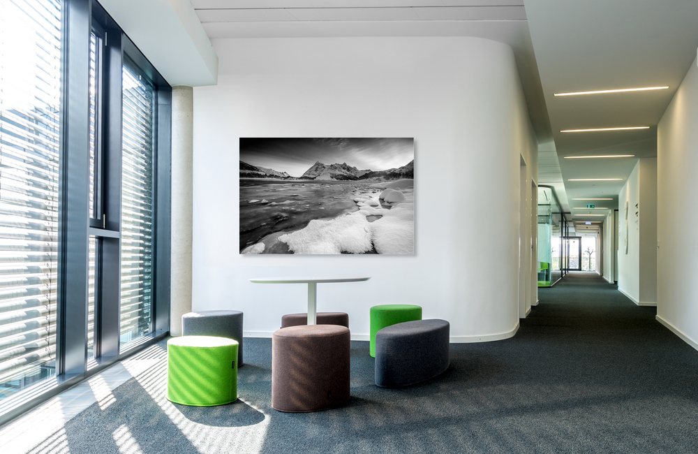 vestpollen &ndash; Akustikbilder und Schallabsorber von SCHALLSAUGER&reg;