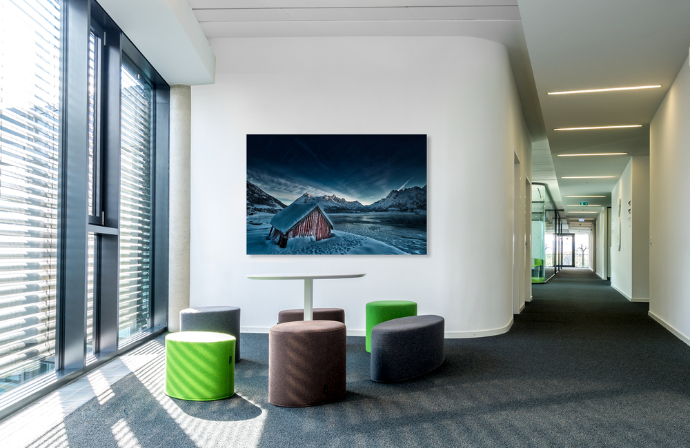 vestpollen 2 &ndash; Akustikbilder und Schallabsorber von SCHALLSAUGER&reg;