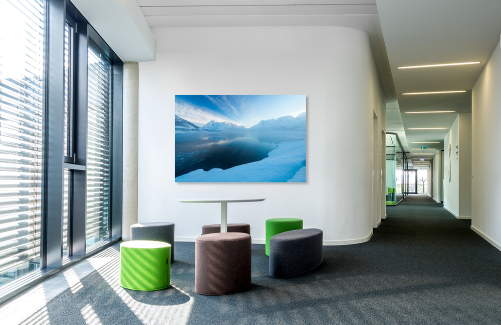 vestpollen Morgenstunde &ndash; Akustikbilder und Schallabsorber von SCHALLSAUGER&reg;