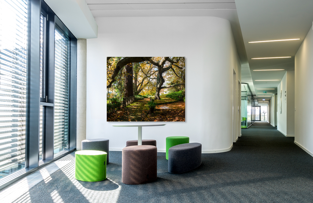 madeira park &ndash; Akustikbilder und Schallabsorber von SCHALLSAUGER&reg;