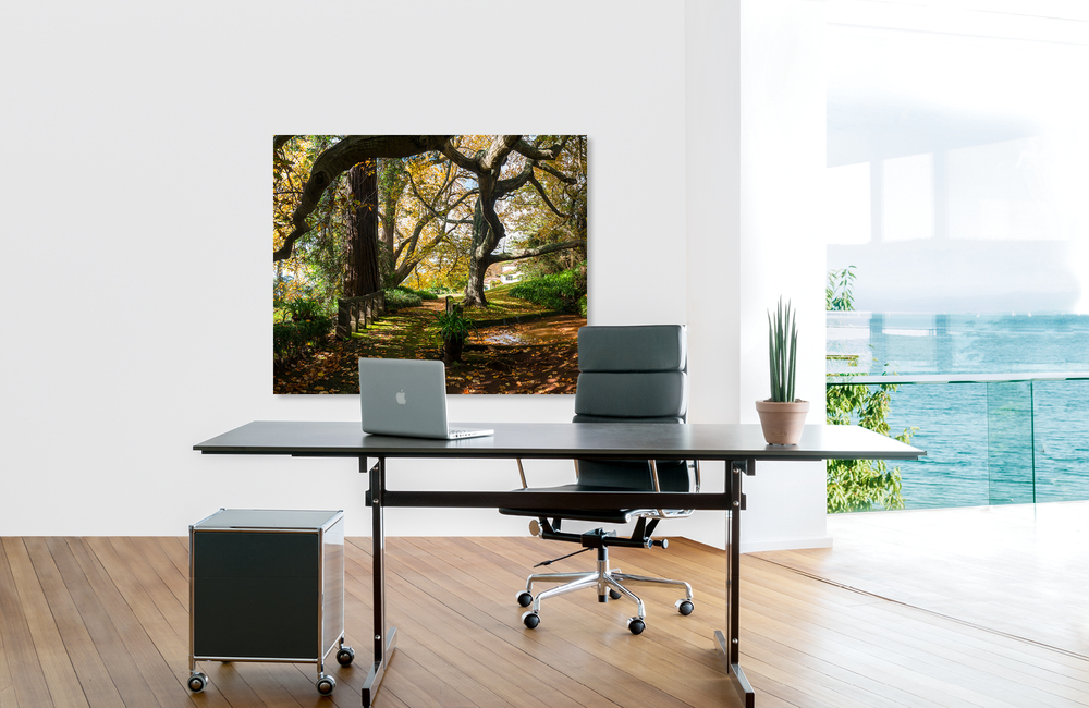 madeira park &ndash; Akustikbilder und Schallabsorber von SCHALLSAUGER&reg;