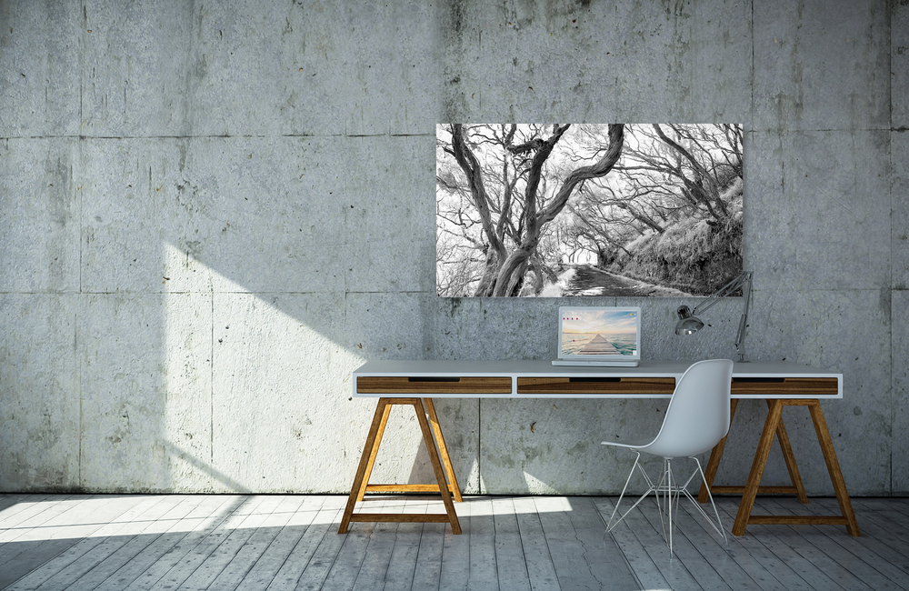 waldweg &ndash; Akustikbilder und Schallabsorber von SCHALLSAUGER&reg;