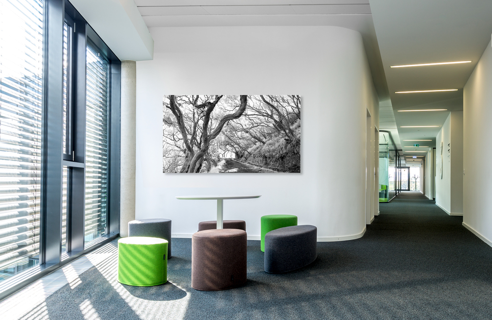 waldweg &ndash; Akustikbilder und Schallabsorber von SCHALLSAUGER&reg;