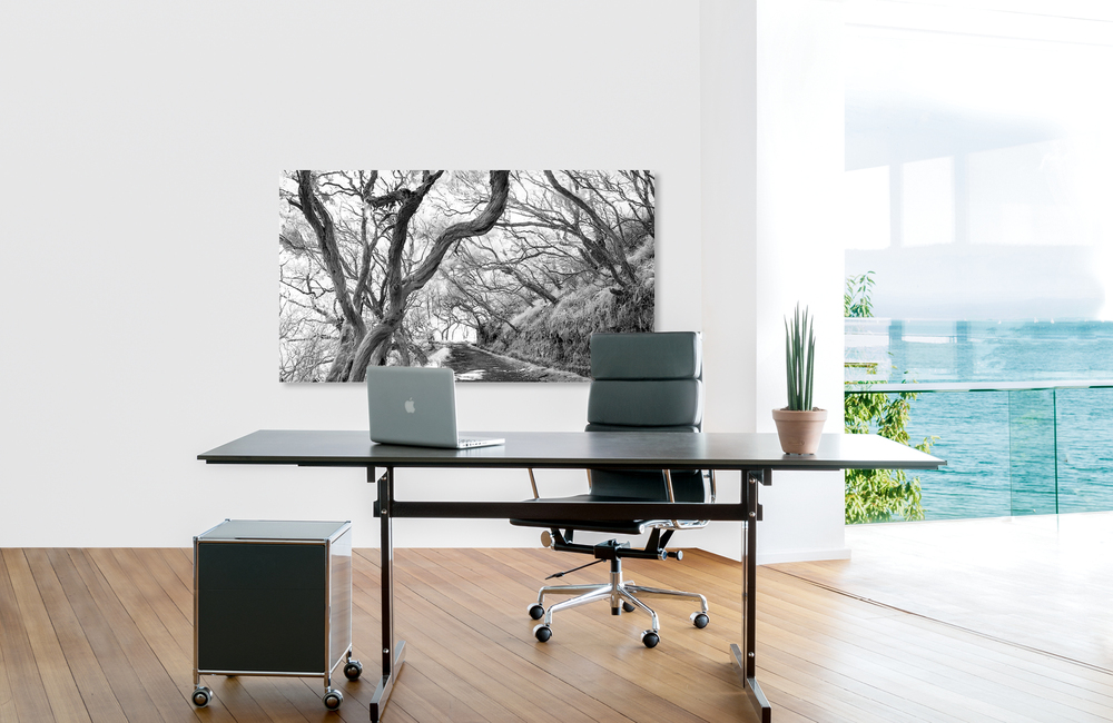 waldweg &ndash; Akustikbilder und Schallabsorber von SCHALLSAUGER&reg;