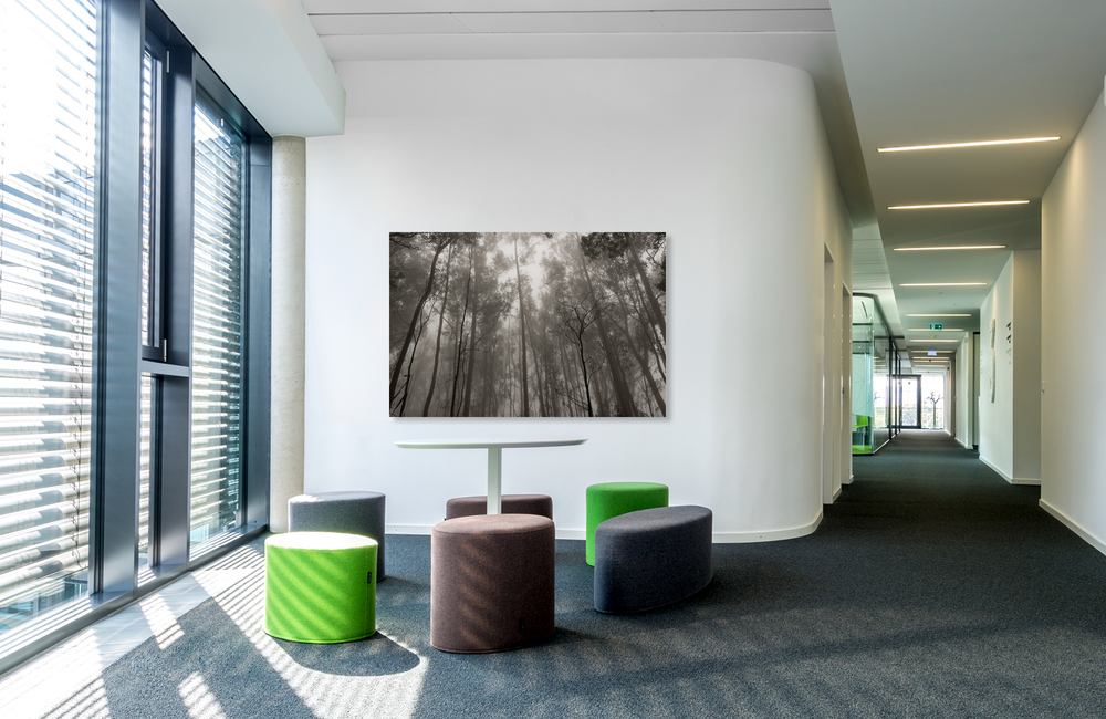 waldnebel &ndash; Akustikbilder und Schallabsorber von SCHALLSAUGER&reg;