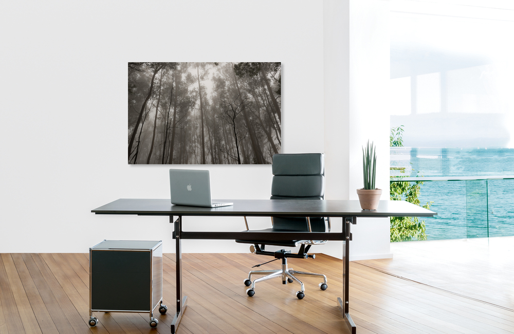 waldnebel &ndash; Akustikbilder und Schallabsorber von SCHALLSAUGER&reg;