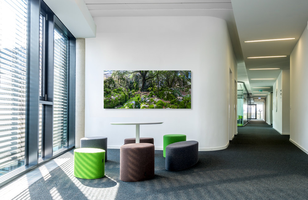 mallorca felsenmeer &ndash; Akustikbilder und Schallabsorber von SCHALLSAUGER&reg;