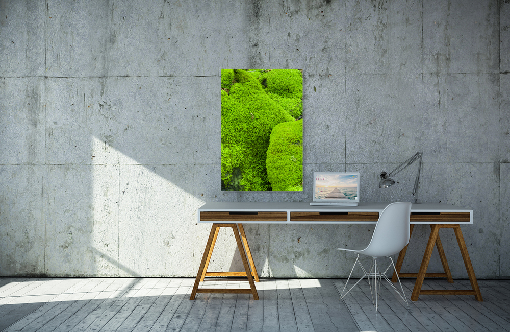 moos &ndash; Akustikbilder und Schallabsorber von SCHALLSAUGER&reg;