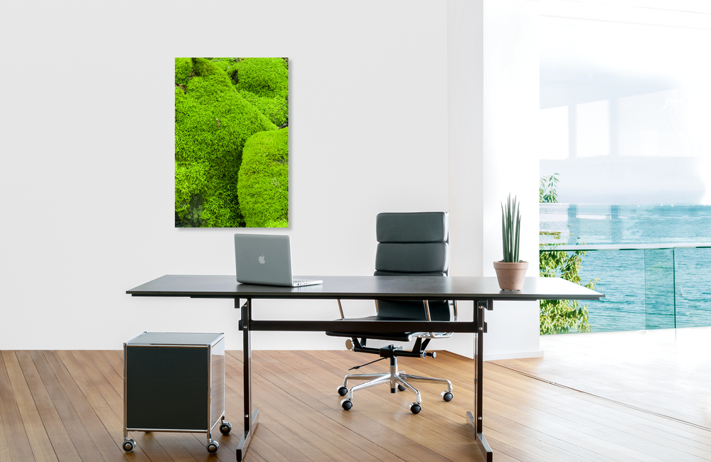 moos &ndash; Akustikbilder und Schallabsorber von SCHALLSAUGER&reg;