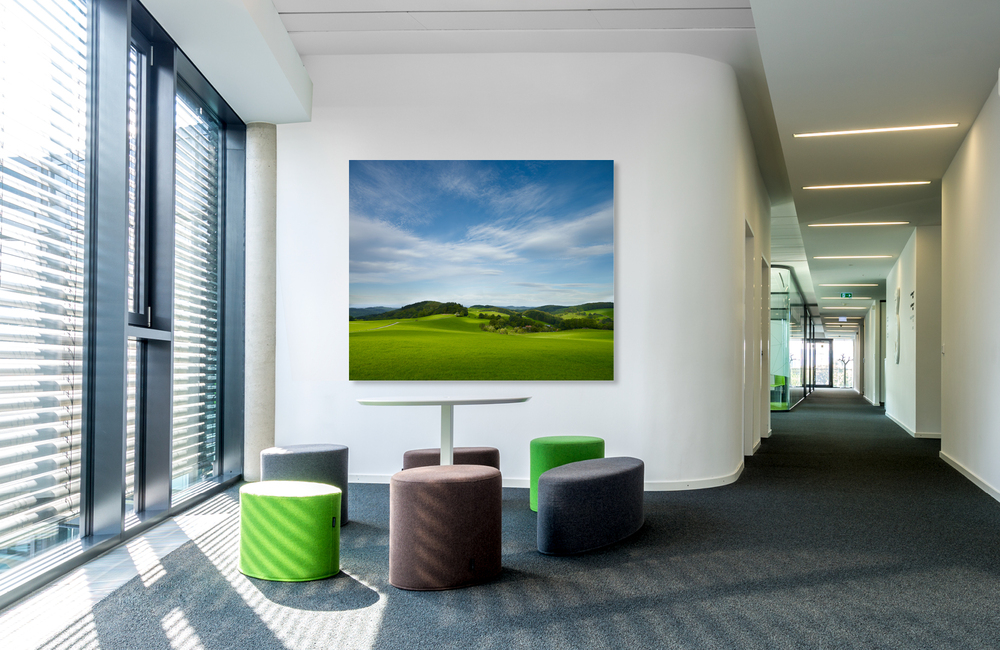 odenwald &ndash; Akustikbilder und Schallabsorber von SCHALLSAUGER&reg;