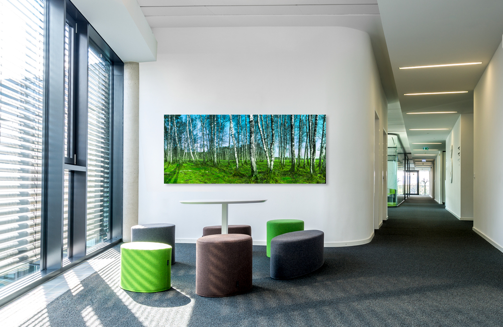 birkenwald 2 &ndash; Akustikbilder und Schallabsorber von SCHALLSAUGER&reg;