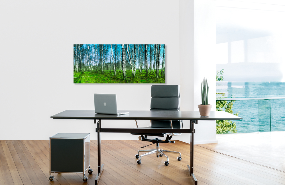 birkenwald 2 &ndash; Akustikbilder und Schallabsorber von SCHALLSAUGER&reg;