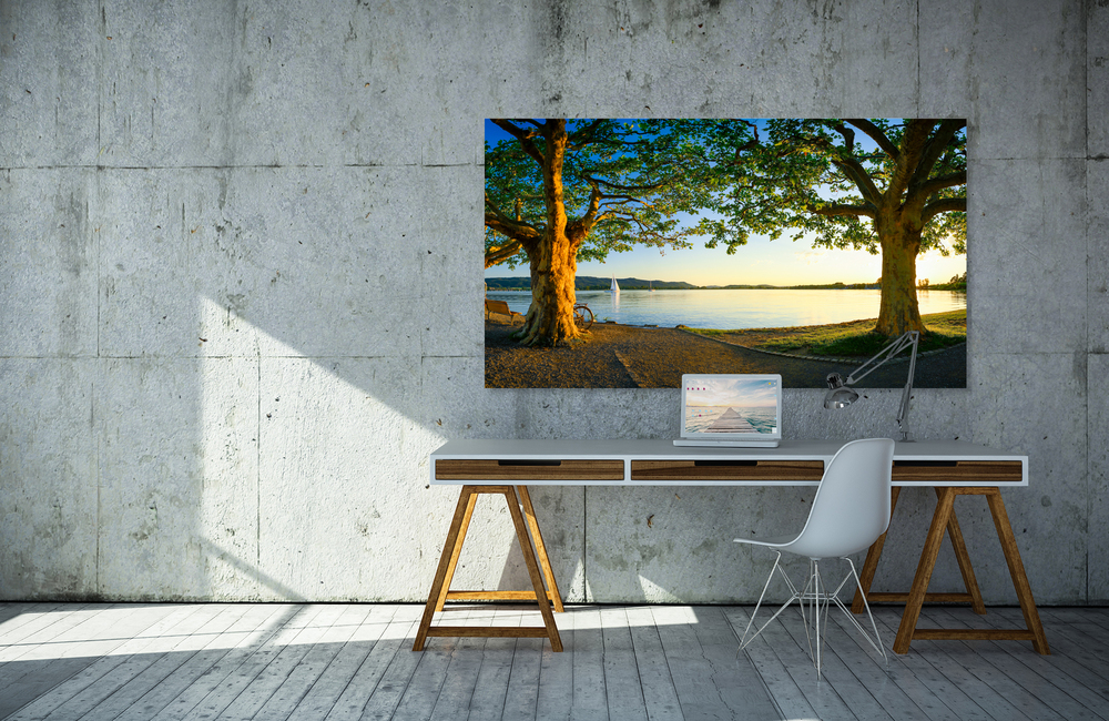 mole &ndash; Akustikbilder und Schallabsorber von SCHALLSAUGER&reg;