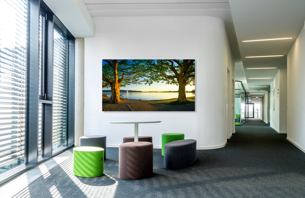 mole &ndash; Akustikbilder und Schallabsorber von SCHALLSAUGER&reg;