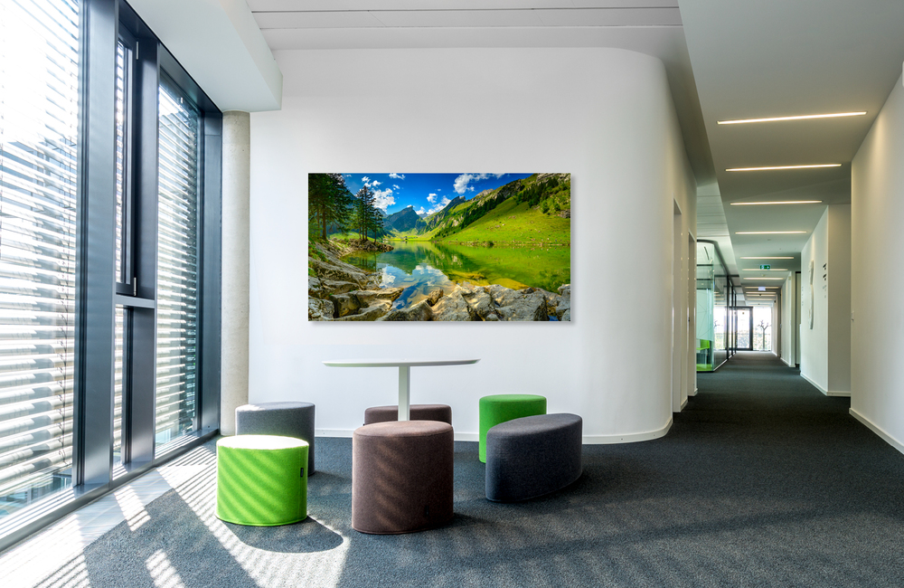 seealpsee &ndash; Akustikbilder und Schallabsorber von SCHALLSAUGER&reg;