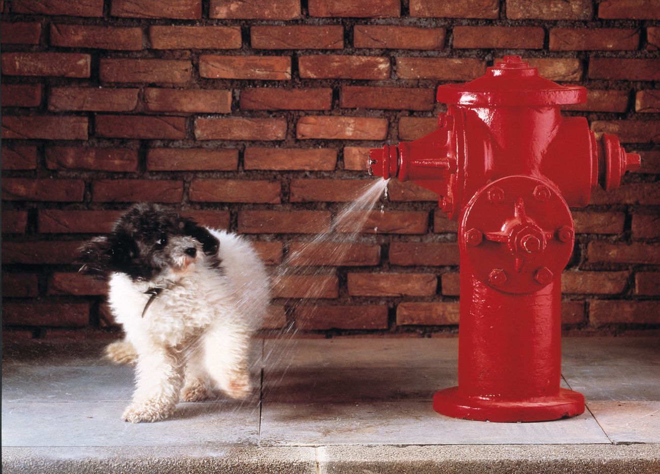 hydrant