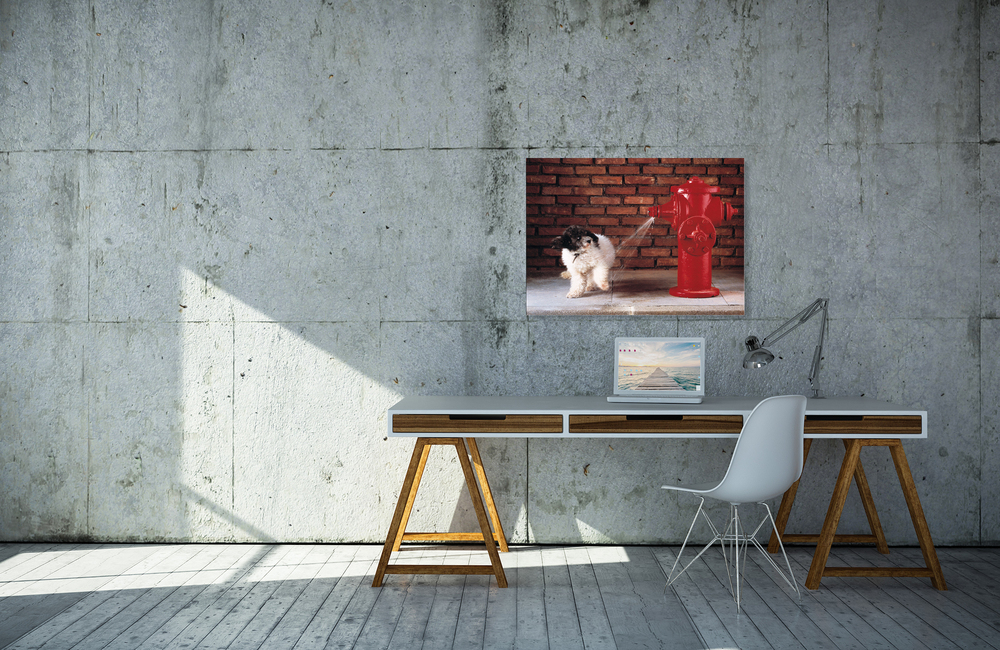 hydrant &ndash; Akustikbilder und Schallabsorber von SCHALLSAUGER&reg;