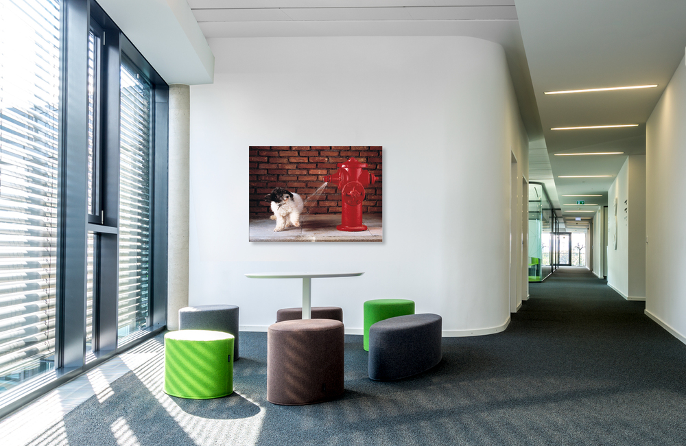 hydrant &ndash; Akustikbilder und Schallabsorber von SCHALLSAUGER&reg;