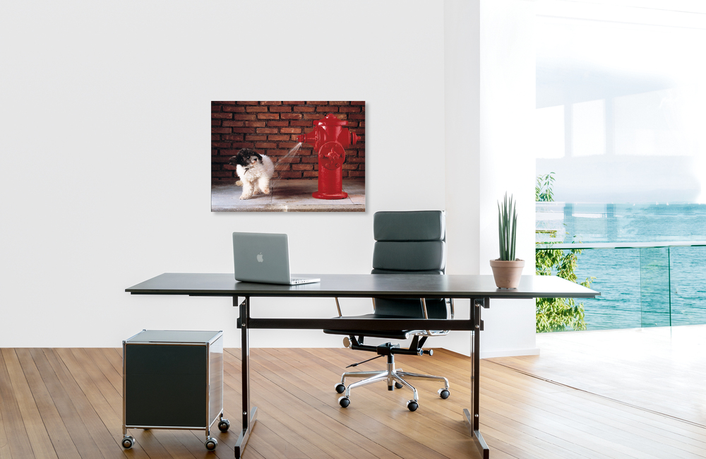 hydrant &ndash; Akustikbilder und Schallabsorber von SCHALLSAUGER&reg;