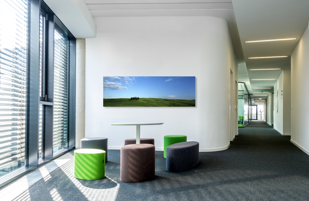 cypressenwald Toskana &ndash; Akustikbilder und Schallabsorber von SCHALLSAUGER&reg;