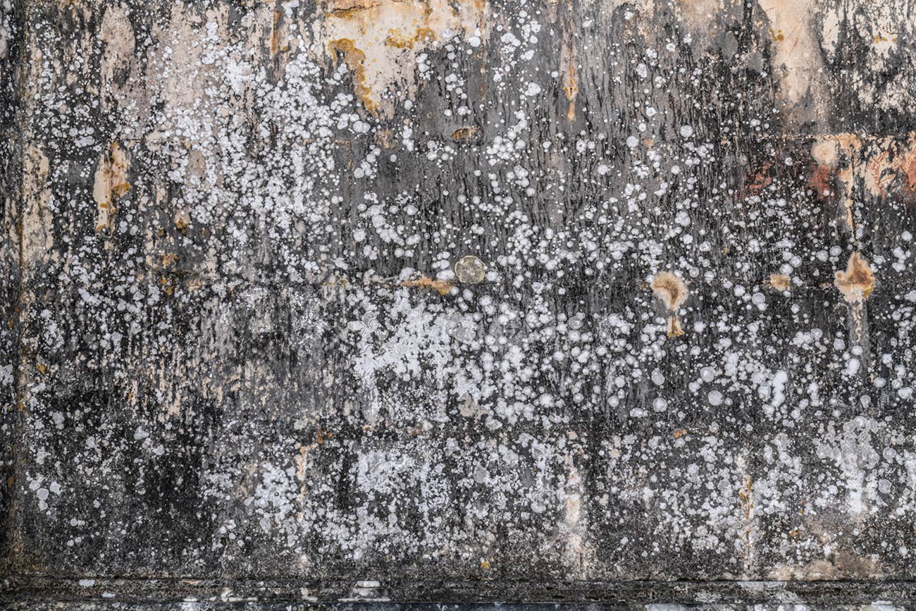 Abstrakte Strukturen 2