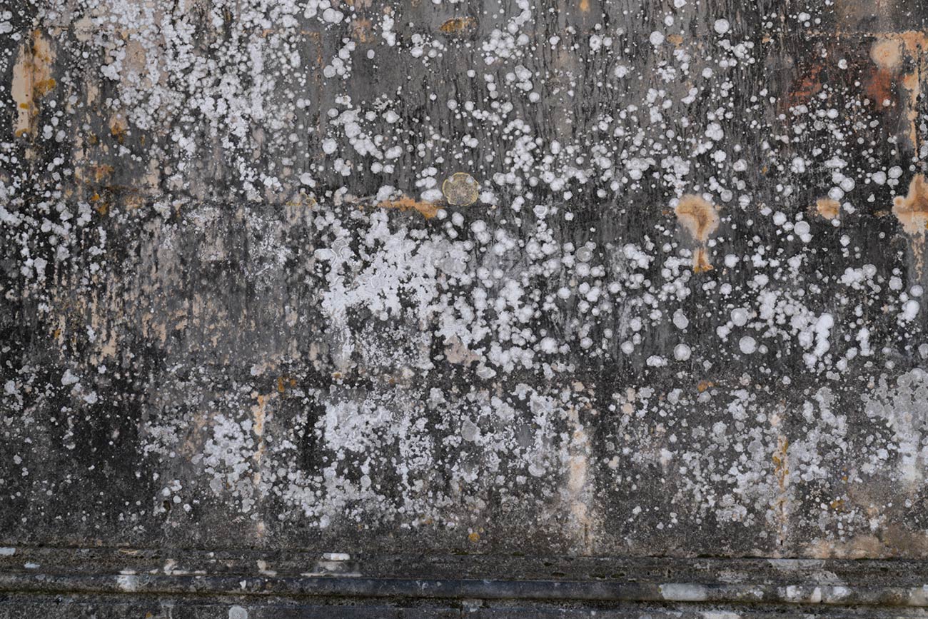 Abstrakte Strukturen 3