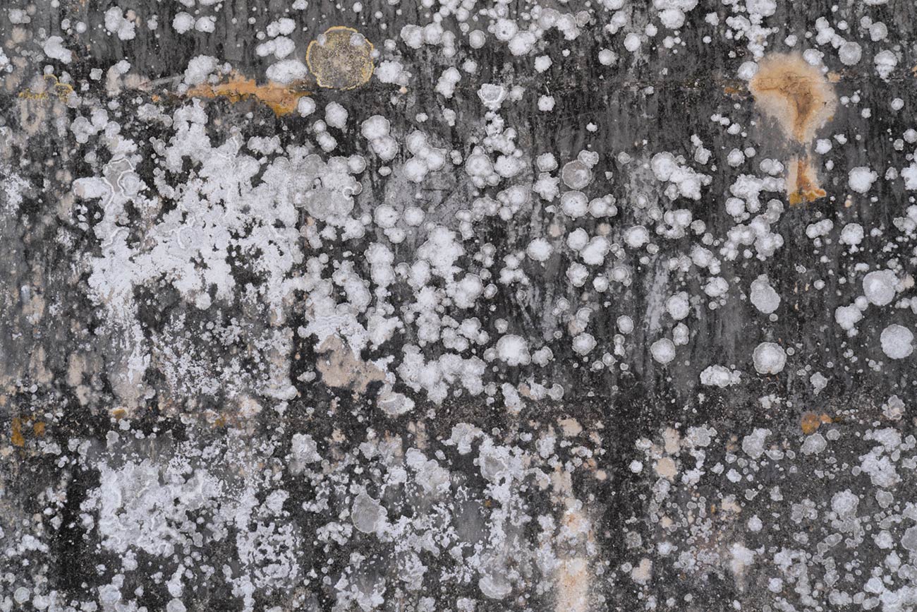 Abstrakte Strukturen 4