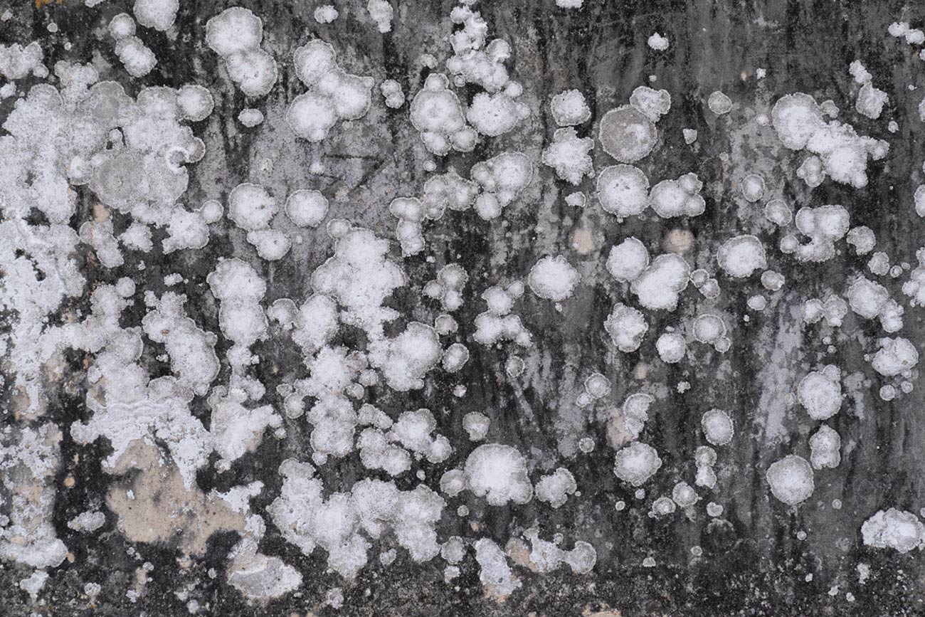 Abstrakte Strukturen 5