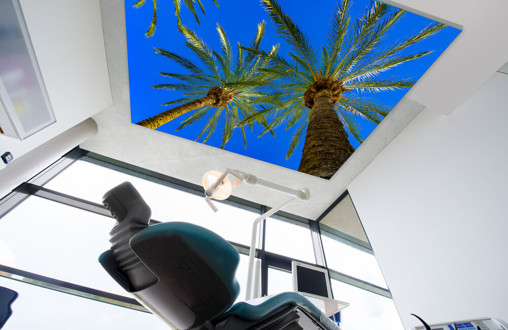 mallorca palmen &ndash; Akustikbilder und Schallabsorber von SCHALLSAUGER&reg;