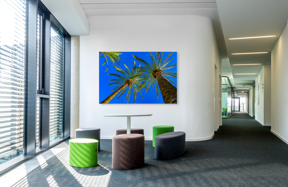 mallorca palmen &ndash; Akustikbilder und Schallabsorber von SCHALLSAUGER&reg;