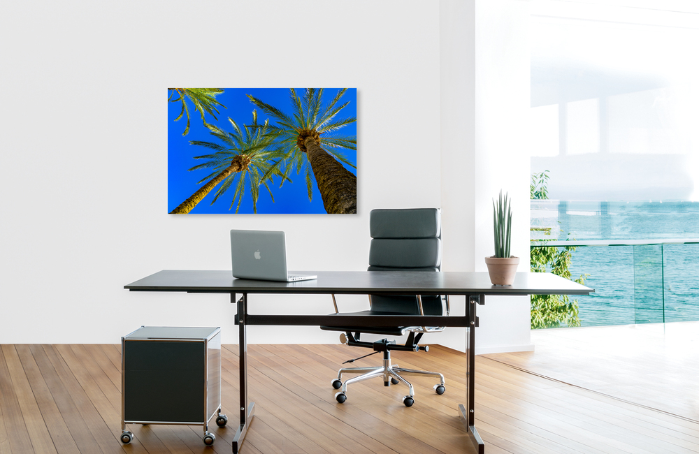 mallorca palmen &ndash; Akustikbilder und Schallabsorber von SCHALLSAUGER&reg;