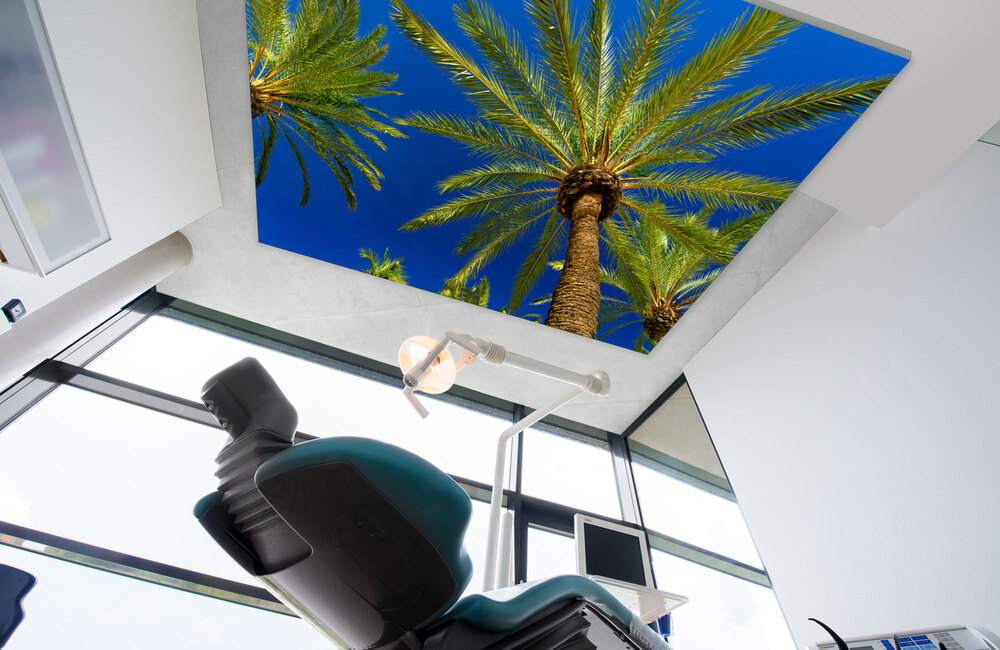 mallorca palmen 4 &ndash; Akustikbilder und Schallabsorber von SCHALLSAUGER&reg;